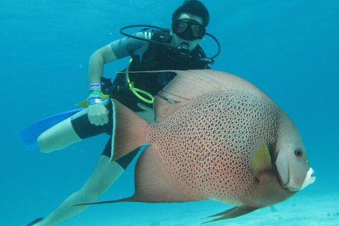 PADI Open Water Diving Certification Course Activity - Introduction