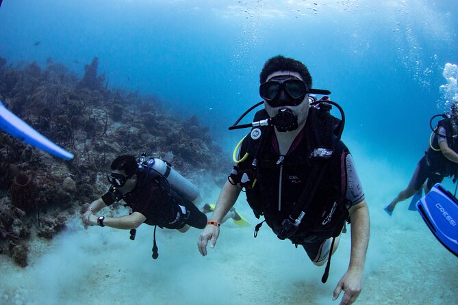 PADI Open Water Scuba Diving Course in Bayahibe - Whats Included