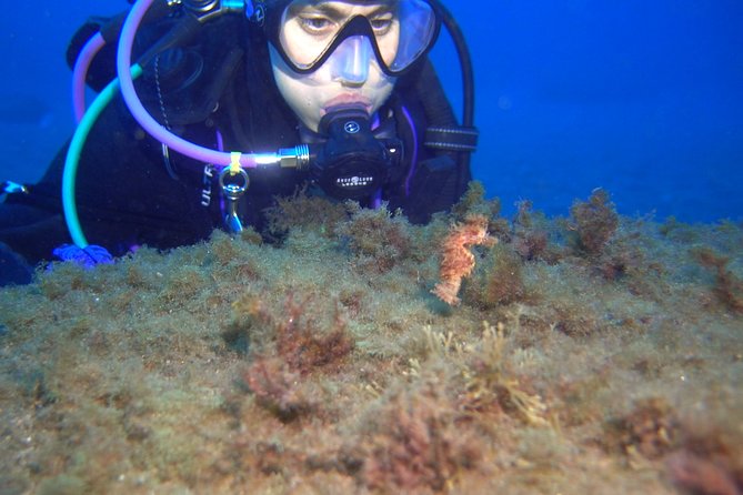 PADI ReActivate Course - Ideal for Divers