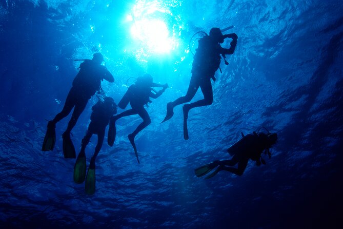 PADI Rescue Diver Course - Included Amenities