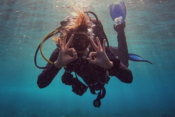 PADI Scuba Diving Courses in Tenerife: All Specialities Until Divemaster - Customer Reviews and Ratings