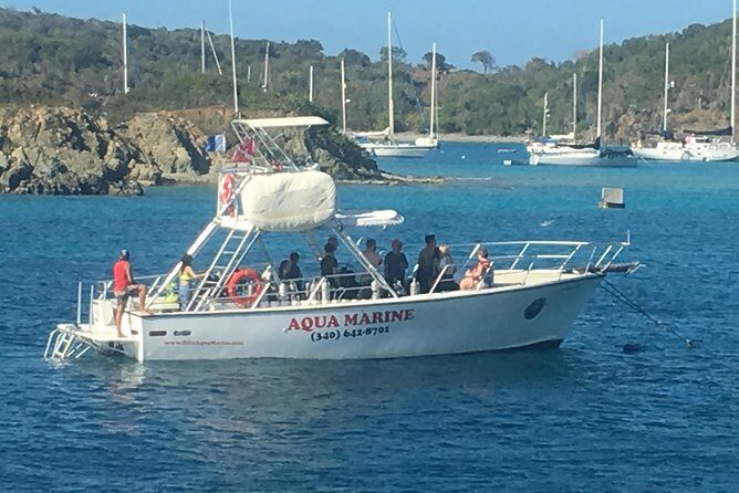 PADI / SSI Open Water Certification - What Participants Say: Authentic Feedback