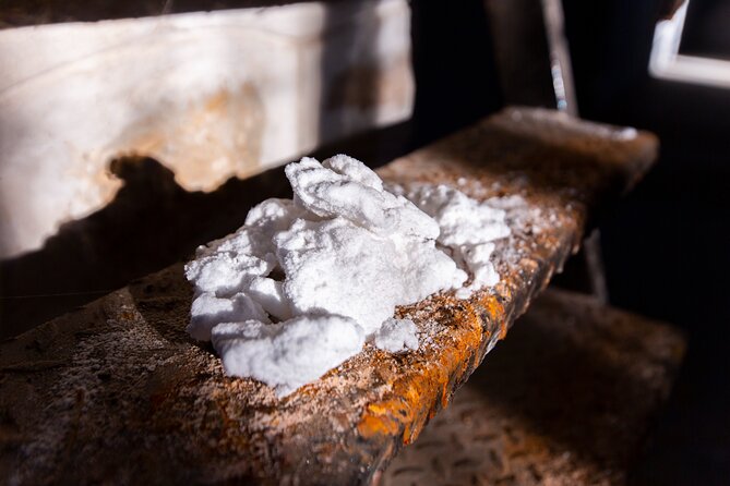 Paella, Olive Oil, Wine & Relax Review - Organic Garden and Bee Hive Visit