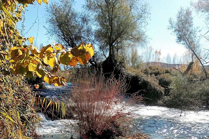 Paella, Olive Oil, Wine & Relax Review - Gifts and Amenities Provided