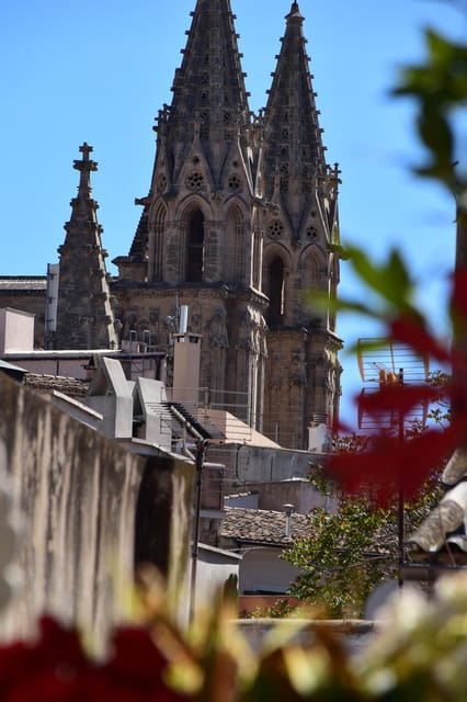 Paella Over Palma - Culinary Journey