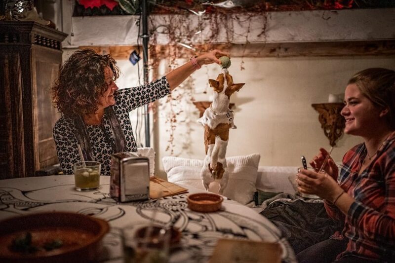 Paella Over Palma - Dietary Restrictions and Limitations