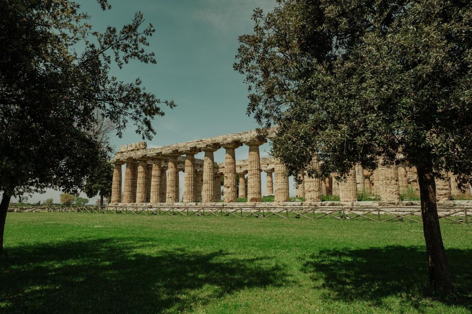 Paestum: 2-Hour Greek Temples & Archaeological Museum - Meeting Point and Inclusions