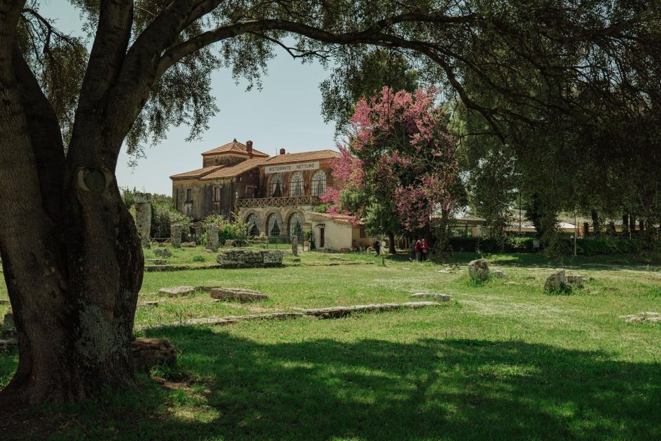 Paestum Archaeological Tour: 3-Hour Private Exploration - Meeting Point and Directions