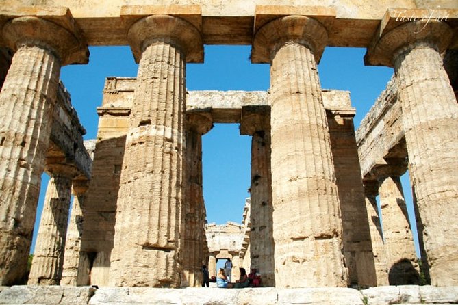Paestum Greek Ruins Private Tour - Booking Information
