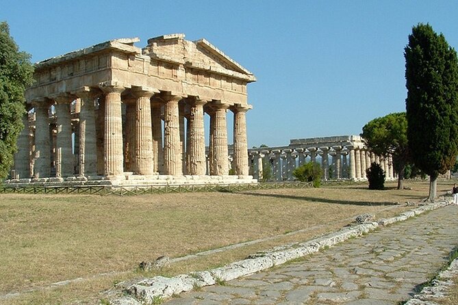 Paestum Greek Ruins Private Tour - Taking in Greek Heritage