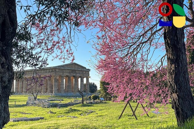 Paestum Orientation Tour Review - Cancellation and Payment