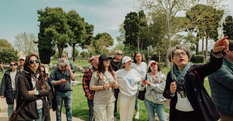 Paestum: Small-Group Tour with an Archaeologist and Tickets - Key Points