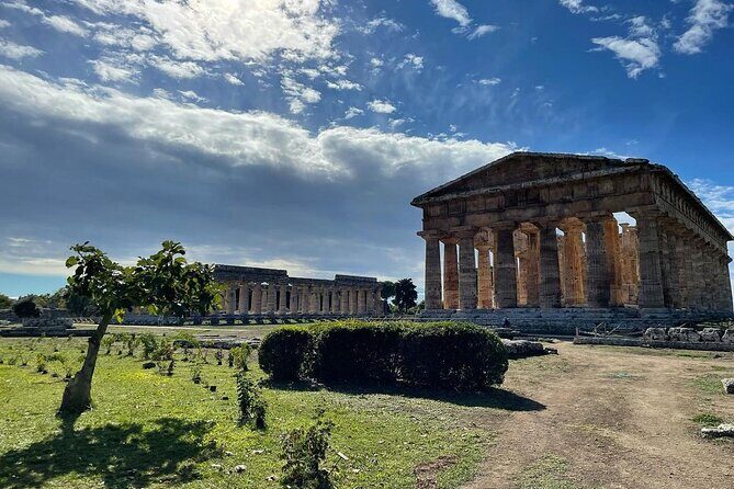 Paestum Whole Family Private Tour - Key Points