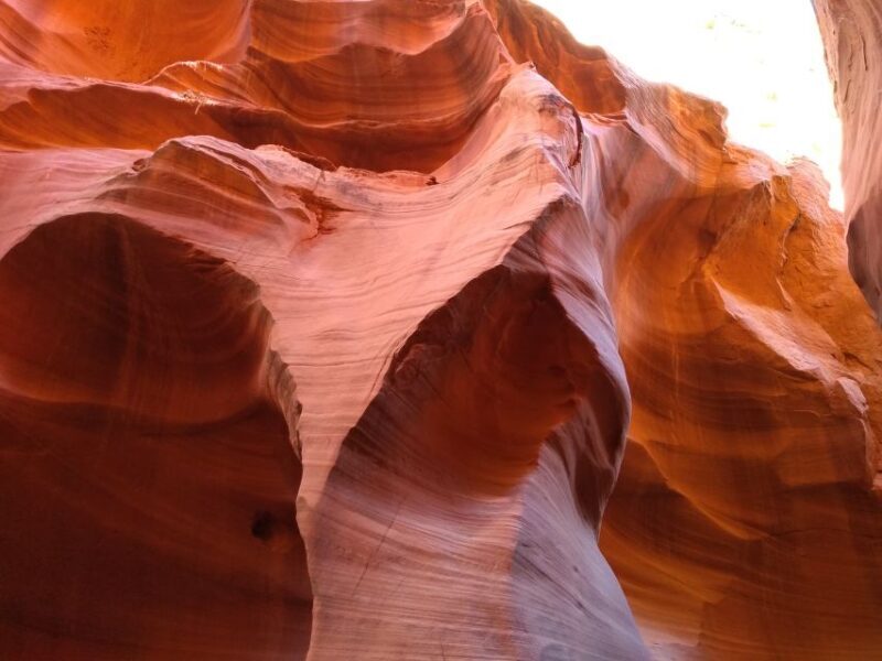 Page: Lower Antelope Canyon Entry and Navajo Guided Tour - Why This Tour Is a Photographer’s Dream
