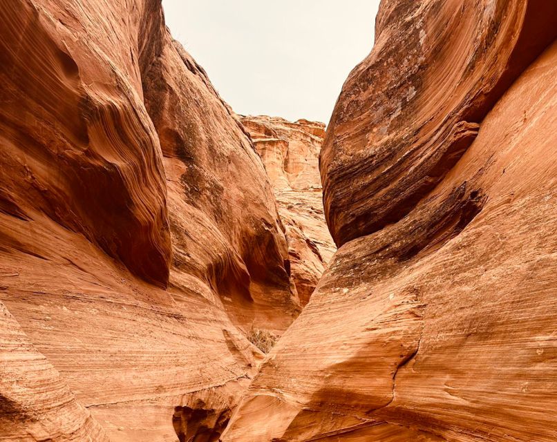 Page: Mountain Sheep Slot Canyon Guided Hiking Tour - Highlights of the Experience