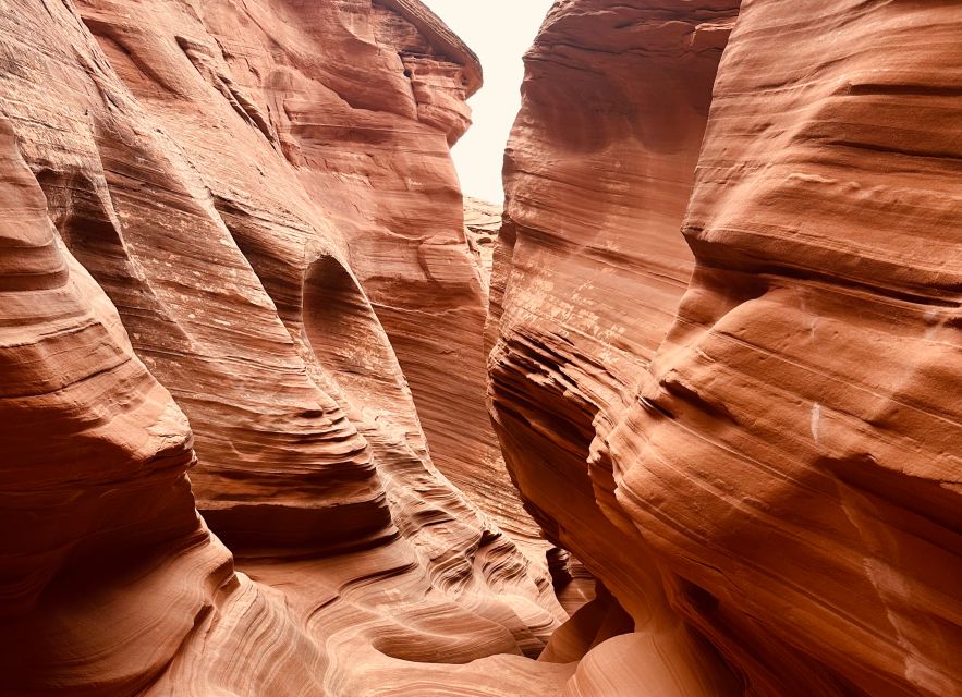 Page: Mountain Sheep Slot Canyon Guided Hiking Tour - Meeting Point and Transportation