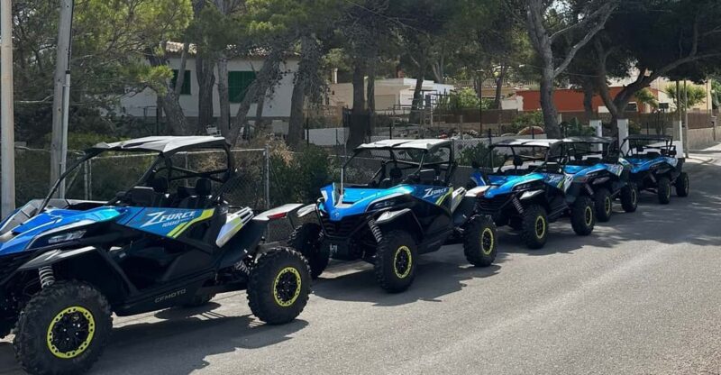 Paguera: 2 Hour Buggy Tour - Itinerary Highlights