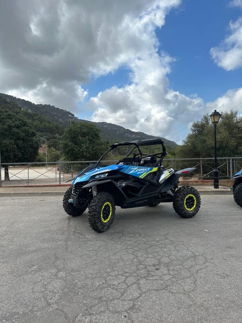 Paguera: 2 Hour Buggy Tour - Important Considerations