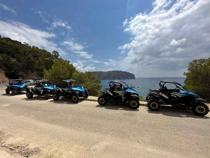 Paguera: 2 Hour Buggy Tour - Preparing for the Adventure