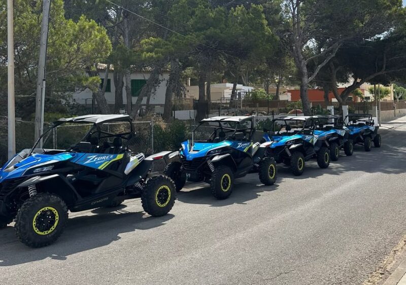 Paguera: Malgrats Island and Sant Elm Buggy Tour - Key Highlights of the Tour
