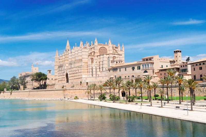 Paguera or Santa Ponsa: Speedboat Cruise to Palma - Key Points