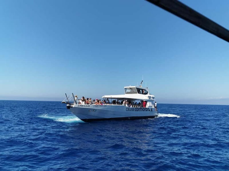 Paguera or Santa Ponsa: Speedboat Cruise to Palma - Who Will Love This Tour?