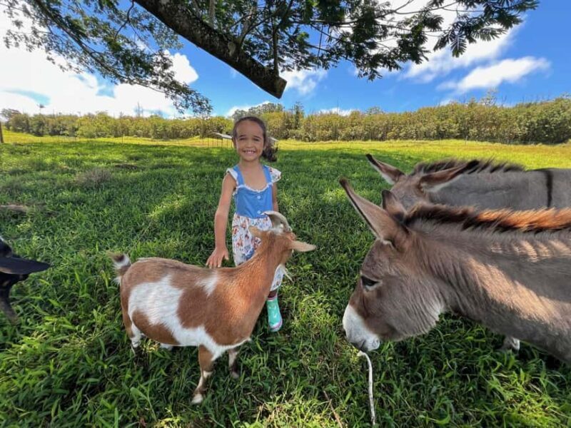 Pahoa: Ranch Tour with Animal Feedings and Interactions - Exploring the Pahoa Ranch Tour: A Hands-On Encounter with Hawaii’s Farm Life