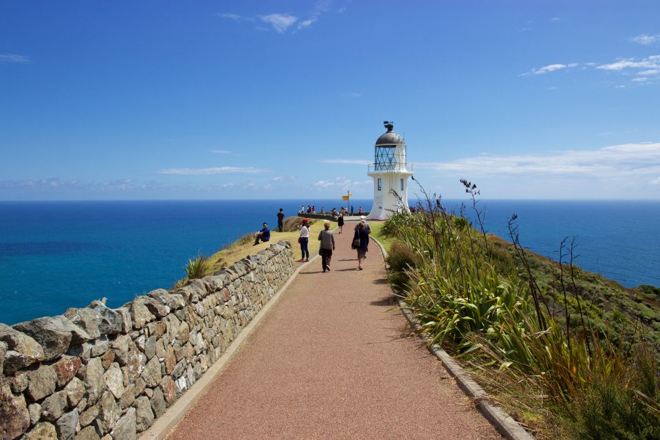 Paihia: Cape Reinga and Ninety Mile Beach Trip With Lunch - Key Points