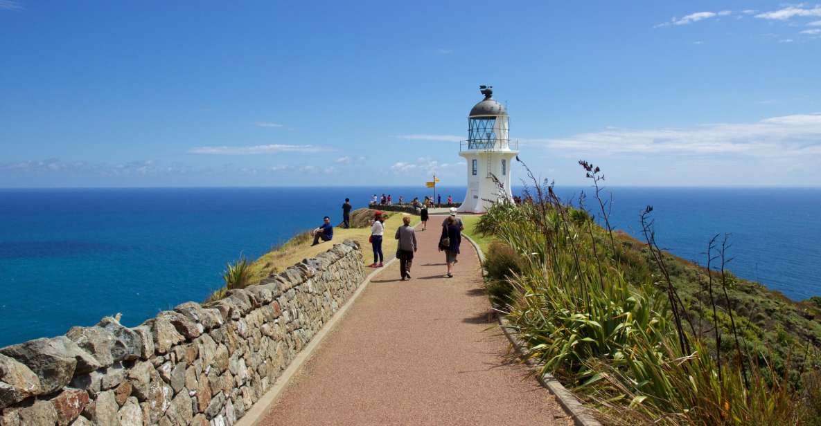 Paihia: Cape Reinga and Ninety Mile Beach Trip With Lunch - Pricing Details
