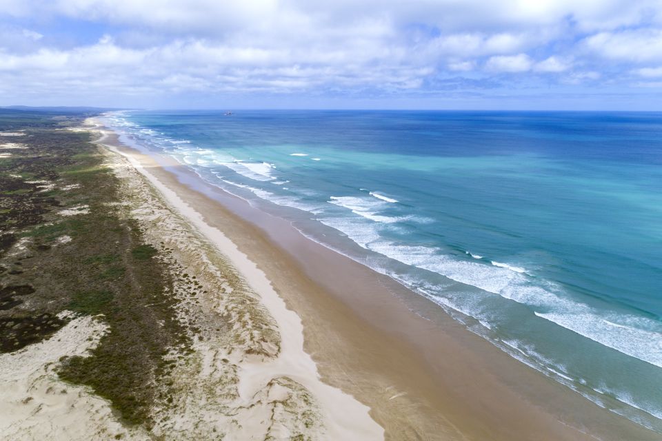 Paihia: Cape Reinga and Ninety Mile Beach Trip With Lunch - Customer Reviews
