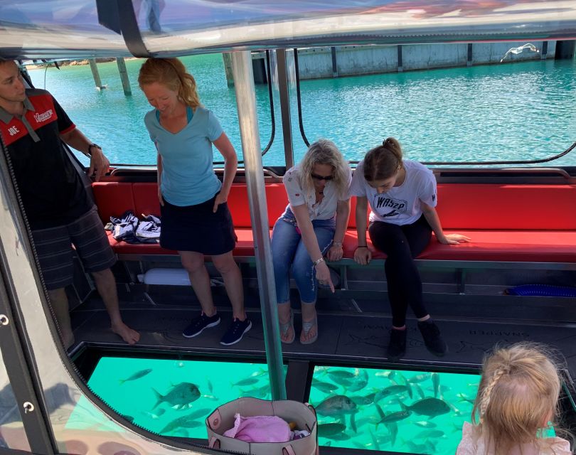 Paihia: Glass Bottom Boat Tour to the Hole in the Rock - Pricing and Duration