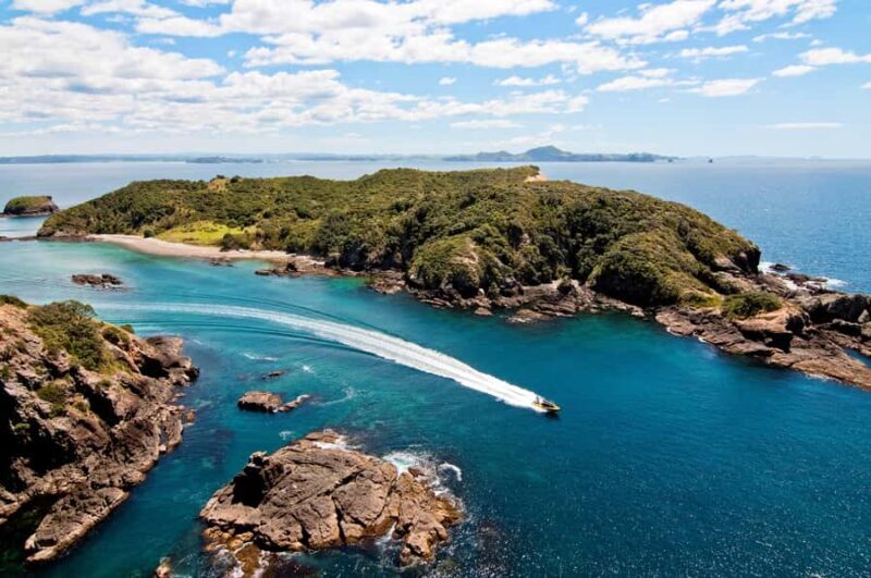 Paihia: Hole in the Rock Fast Boat Ocean Adventure - The Sum Up