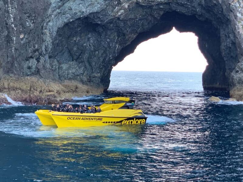 Paihia: Hole in the Rock Fast Boat with Island Stopover - Starting Point and Overall Logistics  