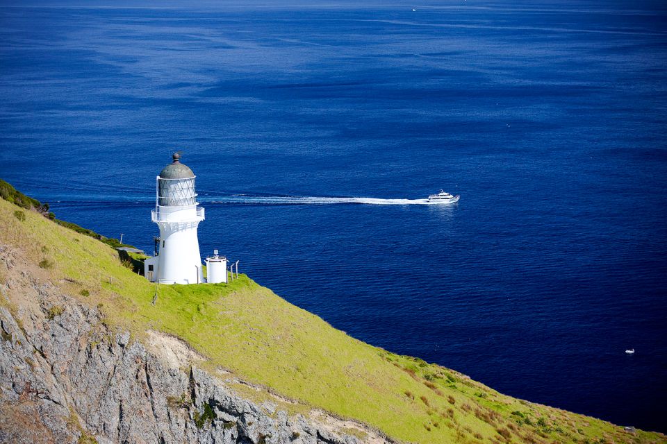 Paihia/Russell: Hole in the Rock and Bay of Islands Cruise - Experience Highlights
