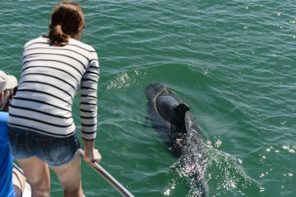 Paihia/Russell: Hole in the Rock and Bay of Islands Cruise - Departure Details