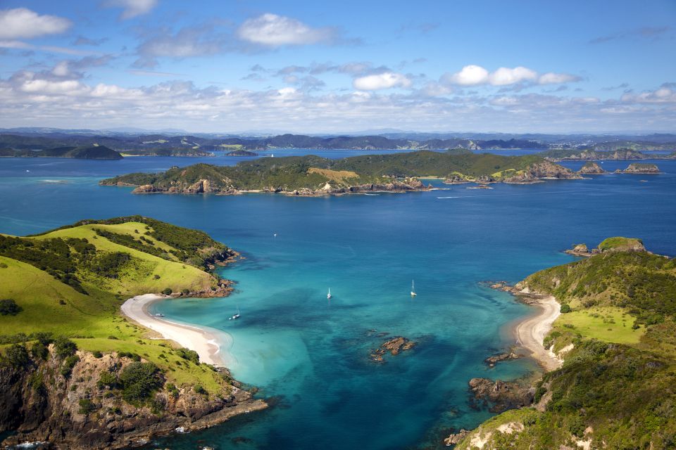Paihia/Russell: Hole in the Rock and Bay of Islands Cruise - Testimonials