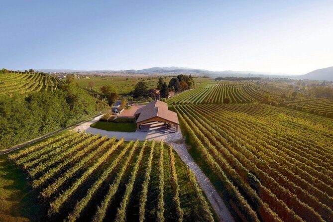 Painting session in the vineyard and Prosecco DOCG tasting - A Closer Look at the Experience