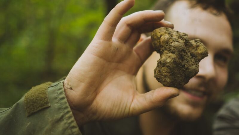 Paladini: Truffle Hunting Tour with 3-Course Tasting Menu - The Scenic Forests: More Than Just a Hunt