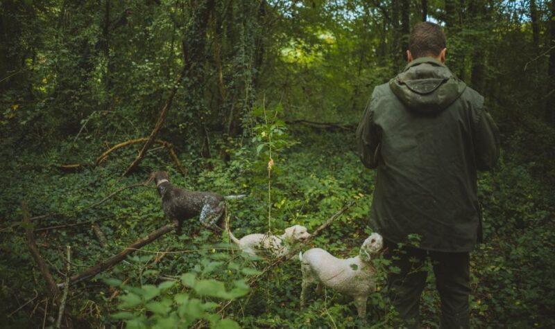 Paladini: Truffle Hunting Tour with 3-Course Tasting Menu - Practical Details and Tips