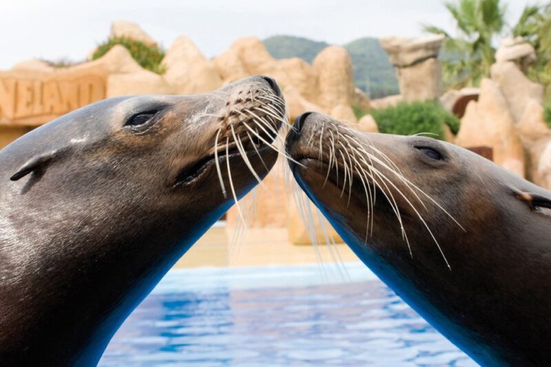 Palafolls: Marineland Dolphinarium and Water Park Tickets - Park Features and Attractions