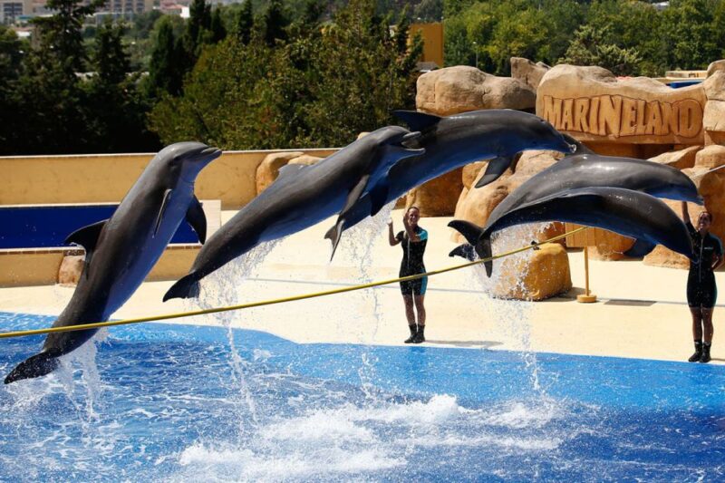 Palafolls: Marineland Dolphinarium and Water Park Tickets - Park Hours and Operating Schedule