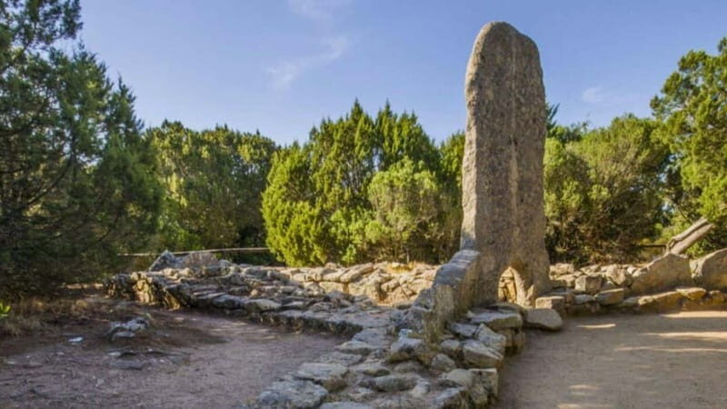 Palau and La Maddalena: tour between archaeology and history - Who Will Love This Tour?