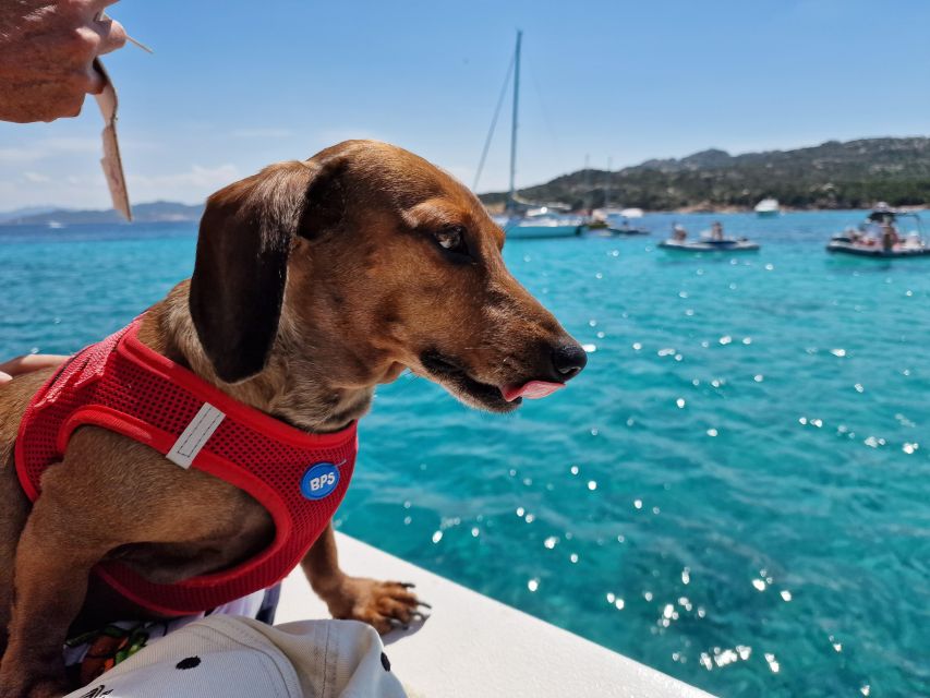 Palau: La Maddalena Archipelago Comfort Boat Tour With Stops - Local Attractions