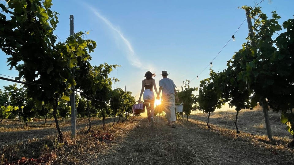 Palau: Picnic in a Gallura Estate - Key Points