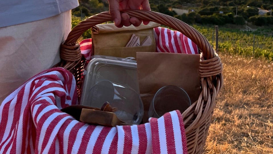 Palau: Picnic in a Gallura Estate - Activity Overview