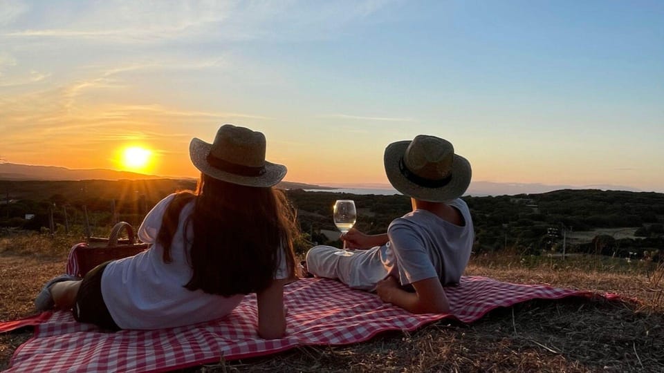 Palau: Picnic in a Gallura Estate - Scenic Highlights