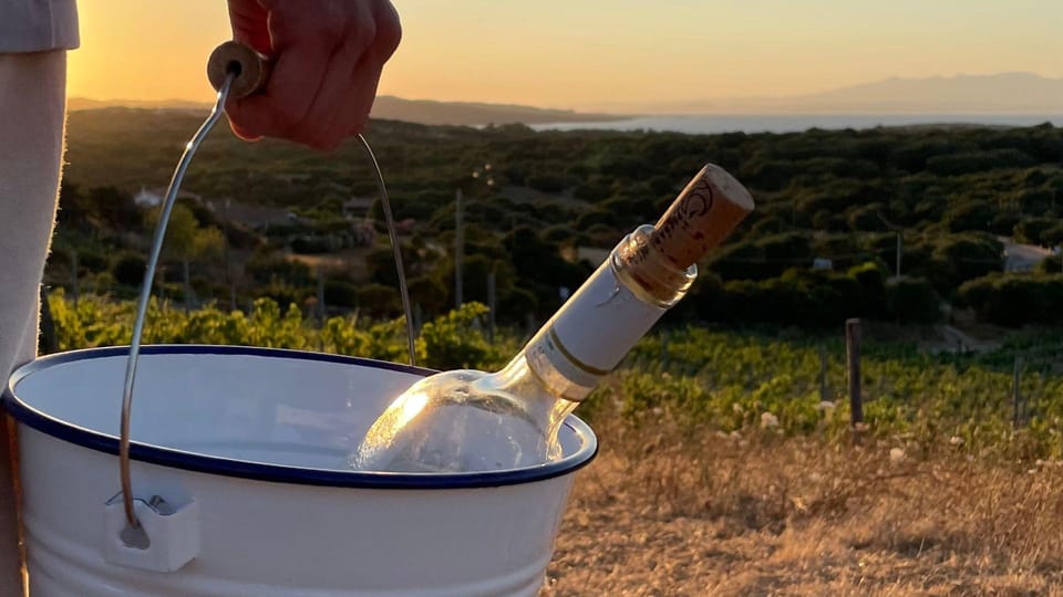 Palau: Picnic in a Gallura Estate - Ask Away