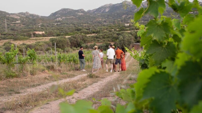 Palau: wine tasting in a Gallura winery - Final Thoughts