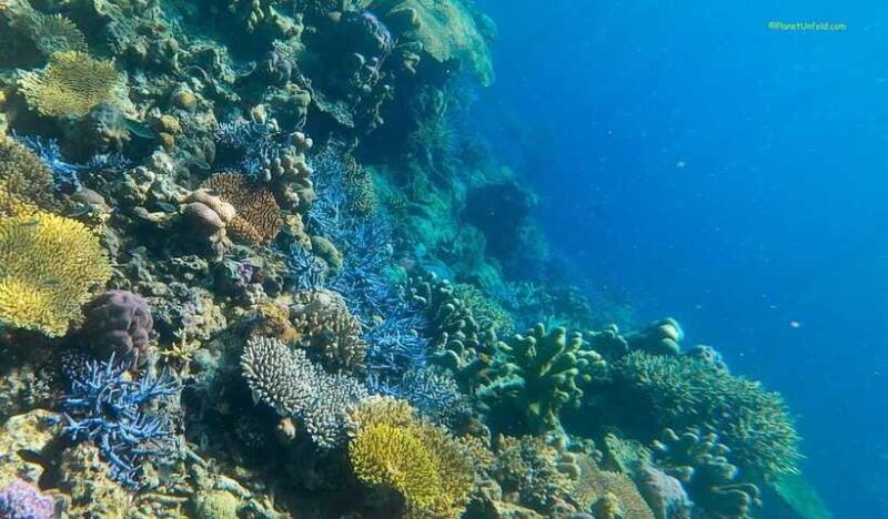 Palawan: Coron Island Super Ultimate Private Tour - Final Words