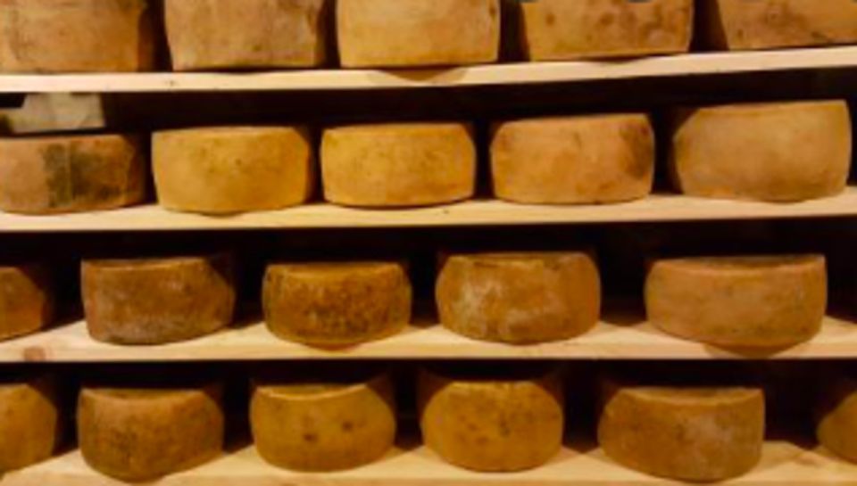Palazzolo Acreide: Ricotta Cheese and Farm Tour With Tasting - Key Points